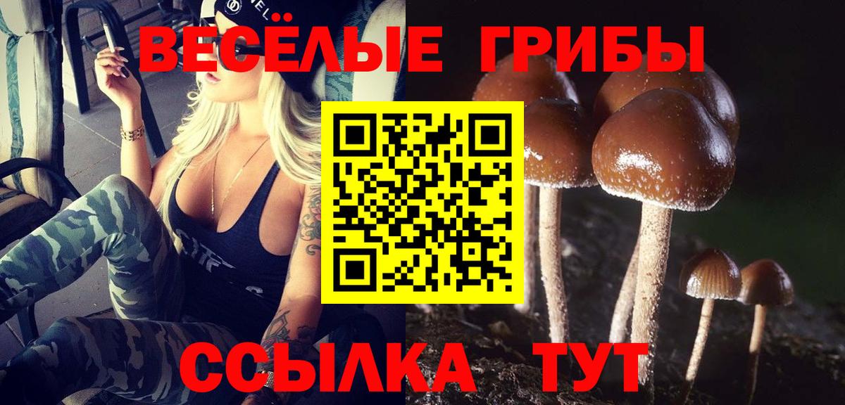 Воронеж  Галлюциногенные грибы прущие грибы  Вход с VPN 